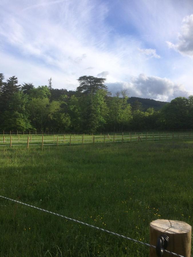 Chateau De La Cazette 锡斯特龙 外观 照片